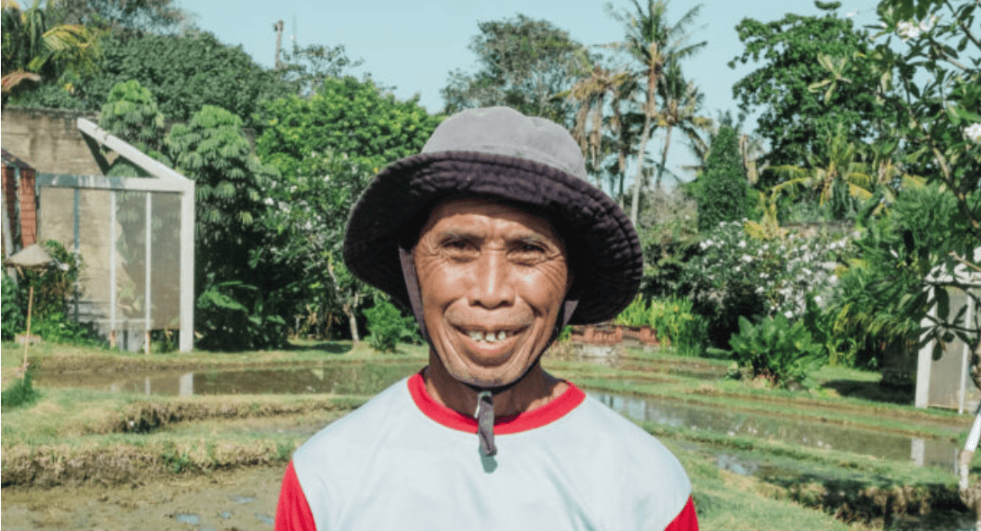 Meet Pekak Aga: The Heart of Shore Amora Resort’s Rice Field in Canggu