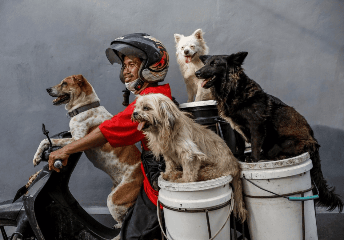 Meet Ketut Lelut Celelut: The Heart of Canggu Neighborhoods with His Dog-Balancing Motorbike