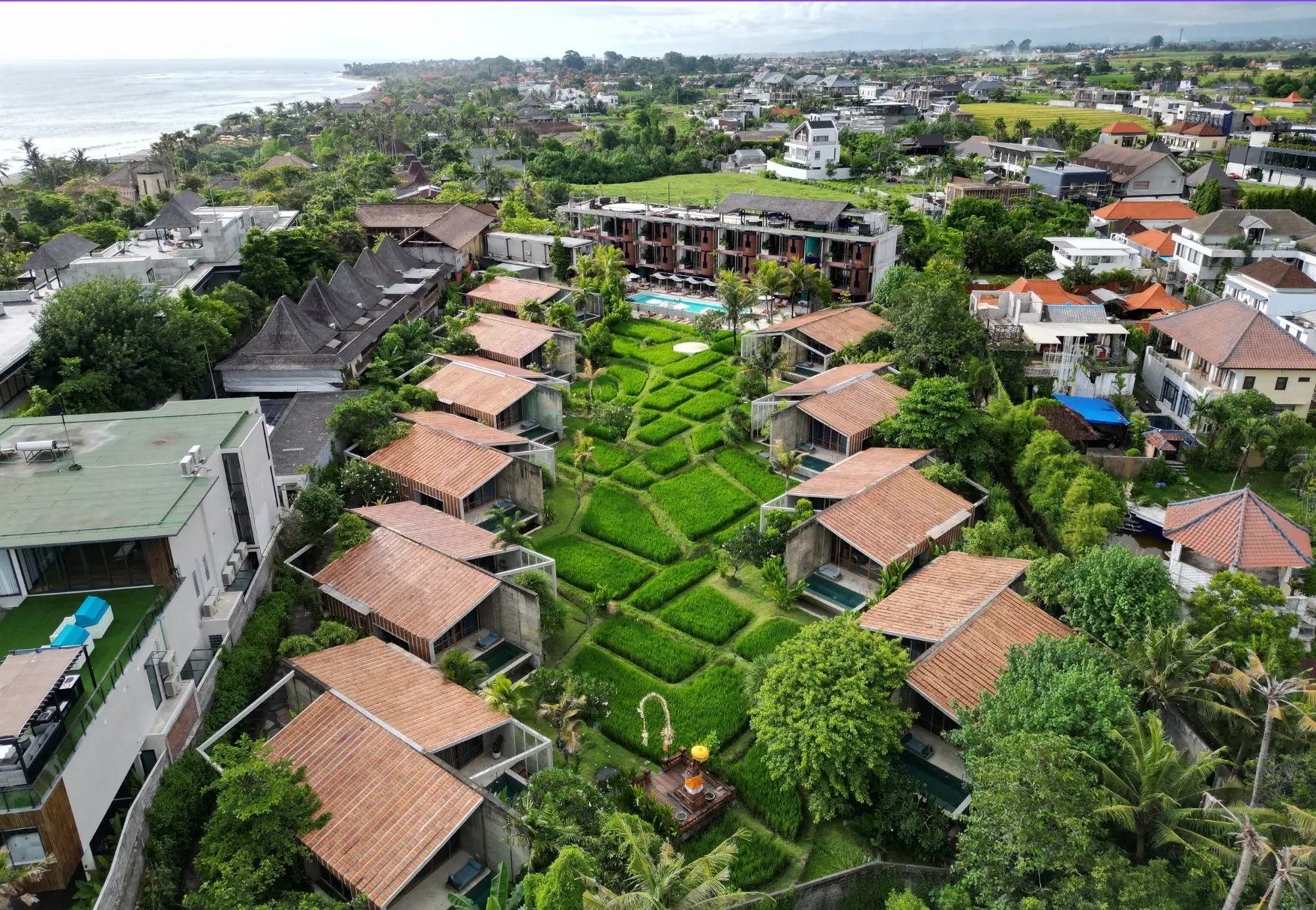 The Best Rice Field View in Bali (Shore Amora Resort)